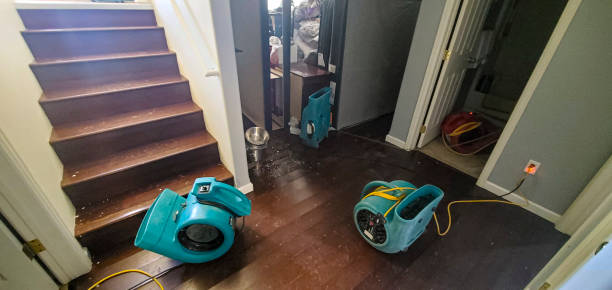 Best Water damage restoration near me  in Minnetonka, MN