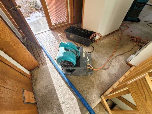 Best Water damage contractors near me  in Minnetonka, MN
