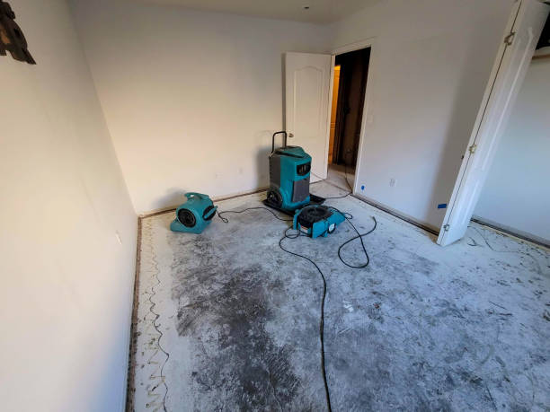 Best Water damage contractors near me  in Minnetonka, MN