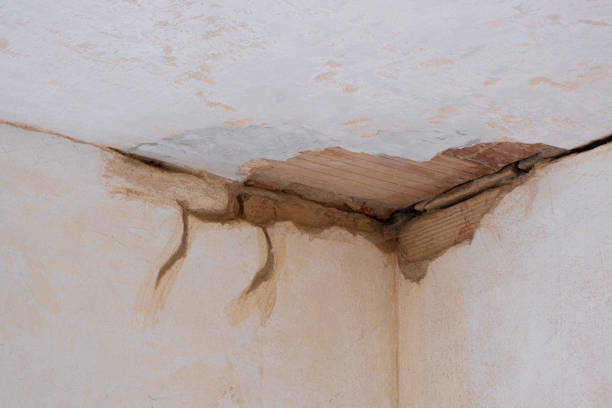 Best Professional water damage repair  in Minnetonka, MN