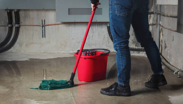  Minnetonka, MN Water damage restoration Pros