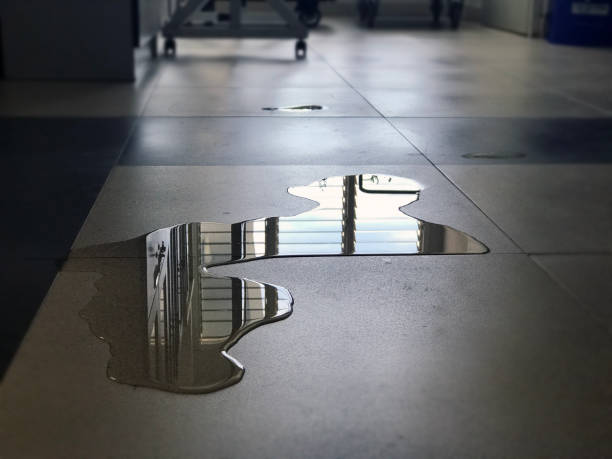 Best Carpet water damage restoration  in Minnetonka, MN