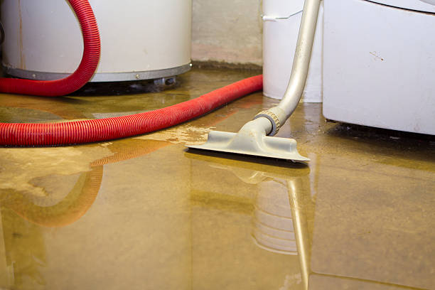 Best Commercial water damage restoration  in Minnetonka, MN