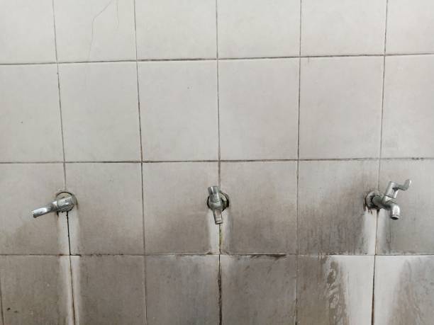 Best Ceiling water damage repair  in Minnetonka, MN