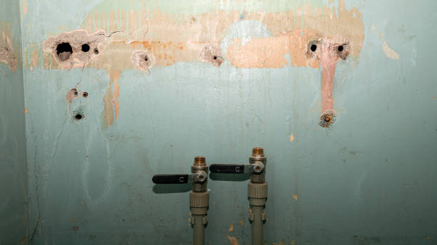 Best Mold removal after water damage  in Minnetonka, MN