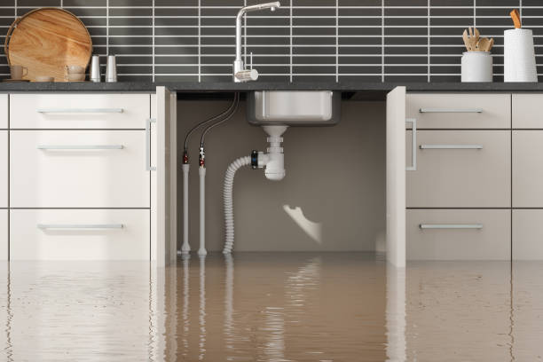 Best Ceiling water damage repair  in Minnetonka, MN