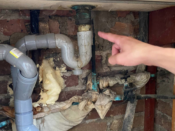Best Carpet water damage restoration  in Minnetonka, MN