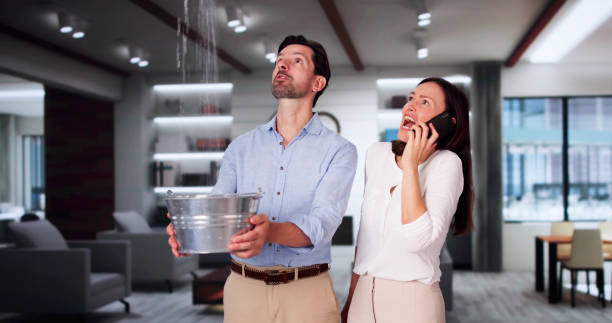 Best Water damage restoration near me  in Minnetonka, MN